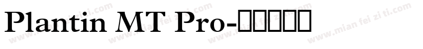 Plantin MT Pro字体转换